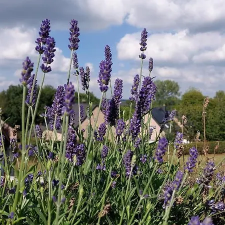 Arzelier Vakantiehuis *