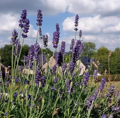 Arzelier Holiday home *